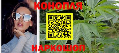 сатива Бузулук