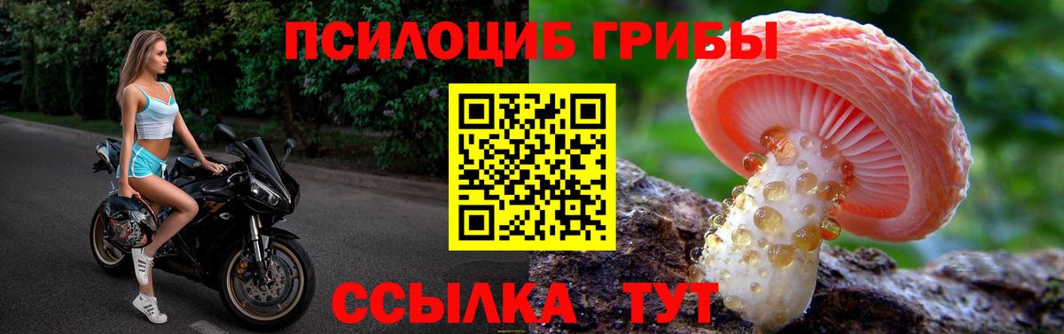 Псков  Галлюциногенные грибы мухоморы  Вход с VPN 